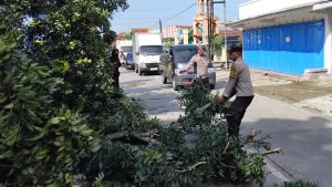 Polisi Bantu Evakuasi Pohon Tumbang Terseret Truk Kontainer di Purbalingga