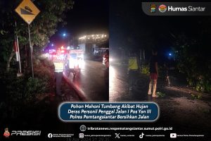 Pohon Mahoni Tumbang Akibat Hujan Deras Personil Penggal Jalan I Pos Yan III Polres Pemtangsiantar Bersihkan Jalan