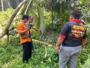 Polisi di Purbalingga Periksa TKP Warga Jatuh dari Pohon Alba