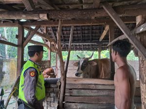 Antisipasi Penyakit SE pada Hewan Ternak di Desa Tania Makmur SP.5A, Kecamatan Lempuing Jaya