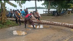 Bersama Warga Polsek Pulau Laut Berat Gerak Cepat Bersihkan Pohon Tumbang