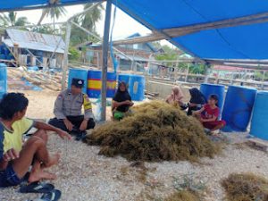 Sambangi Petani Rumput Laut, Babinkamtibmas Kelurahan Palabusa Ajak Lestarikan Laut