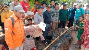 Penangkapan Buaya oleh Masyarakat di Desa Sriwijaya Baru, Kabupaten OKI