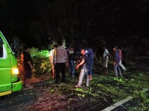 Tutup Akses Jalan, Polsek Labuhan Badas Gerak Cepat Lakukan Evakuasi Pohon Tumbang