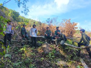Cegah Perambahan Hutan, Personel Gabungan Terjun Laksanakan Patroli Di Kecamatan Utan