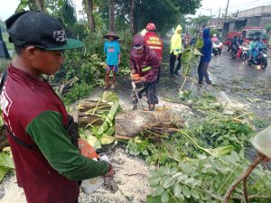 Polsek Campurdarat Bersama Tiga Pilar Mendatangi TKP Bencana Alam Angin Kencang Yang Terjadi di Tiga Desa