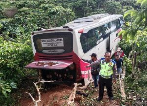 Bus Penumpang Masuk Jurang di Lampung Barat, Tidak Ada Korban Jiwa