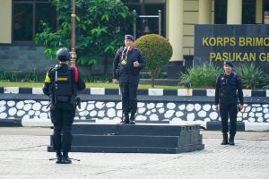 Jelang Pengamanan WWF ke-10 di Bali, Korps Brimob Polri Laksanakan Apel Gelar Pasukan