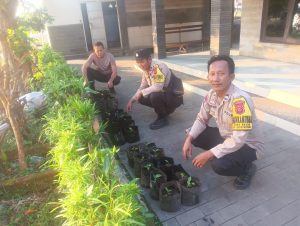 Personil Polsek Dukupuntang Aktif Terlibat Program Ketahanan Pangan Dengan Menanam Cabai Dan Tomat