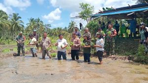 Kapolsek Rainis Laksanakan Penanaman Padi Sawah Bersama Kelompok Tani Maro-Maro