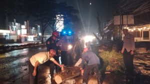 Gerak cepat, Polsek Rancaekek Bersama petugas Damkar evakuasi pohon tumbang yang melintang di Jalan Garut Bandung