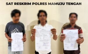 Sat Reskrim Polres Mateng Tetapkan 3 Tersangka Pencurian Buah Sawit di PT. WKSM