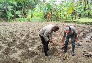 Ps. Kanit Binmas Polsek Salahutu Sambang dan Himbau Petani SAGU Tingkatkan Ketahanan Pangan