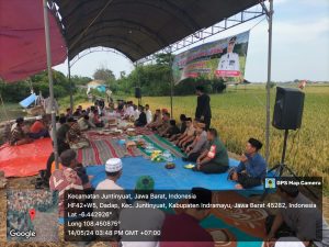 Kapolsek Juntinyuat Hadiri Adat Budaya Mapag Sri di Desa Dadap