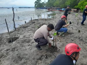 Antisipasi Abrasi Pantai, Bhabinkamtibmas Desa Maitara Induk Bantu Tanam Pohon Mangrove
