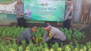 Ketahanan Pangan Pendistribusian Pohon Produktif Kepada Warga Kampung Walang Rw02 Kel Ancol Pademangan Jakarta Utara Dalam Rangka Hari Bhayangkara Ke 78 Tahun 2024