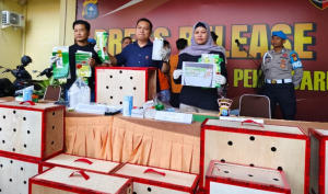 Modus Baru Penyelundupan Sabu dan Ekstasi dalam Kandang Ayam Terbongkar di Bandara SSK II Pekanbaru