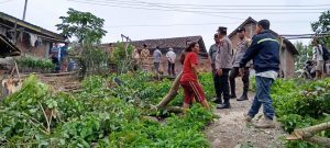 Polsek Sosoh Buay Rayap DatangI Lokasi Peristiwa Meninggalnya Salah Satu Warga Di Duga Kesentrum Listrik
