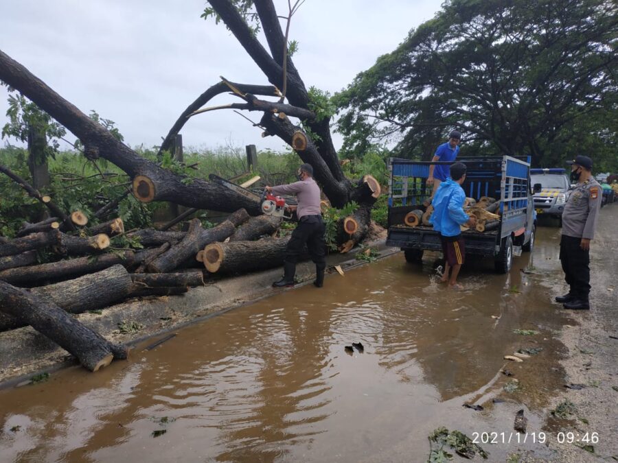 Personil Polsek Tamalate  Evakuasi Pohon Tumbang