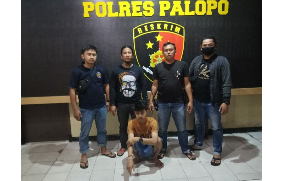 Bawa ke Kost Hingga Setubuhi Korban 3 Kali, Pemuda di Palopo Diamankan Polisi