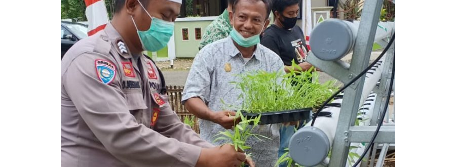 Masuk Desa, Satbinmas Polres Bone Berikan Penyuluhan Menanam Sayur Hidroponik